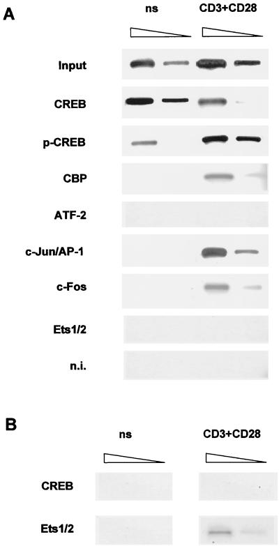 FIG. 7