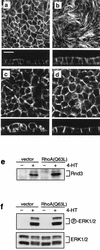 FIG. 9