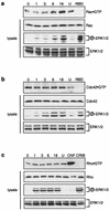 FIG. 7