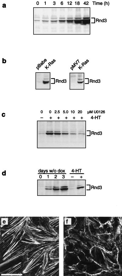 FIG. 8