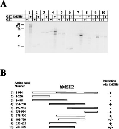 FIG. 6