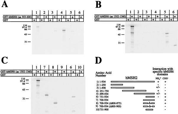 FIG. 7