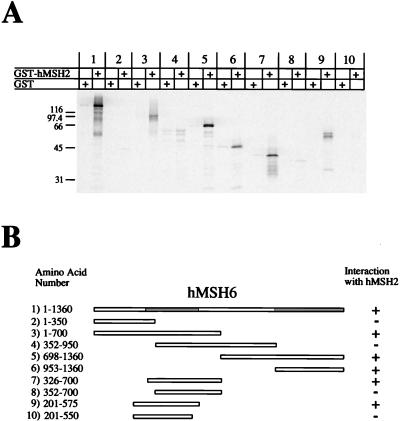 FIG. 5