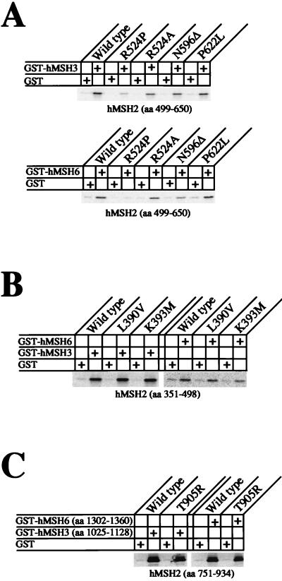 FIG. 8