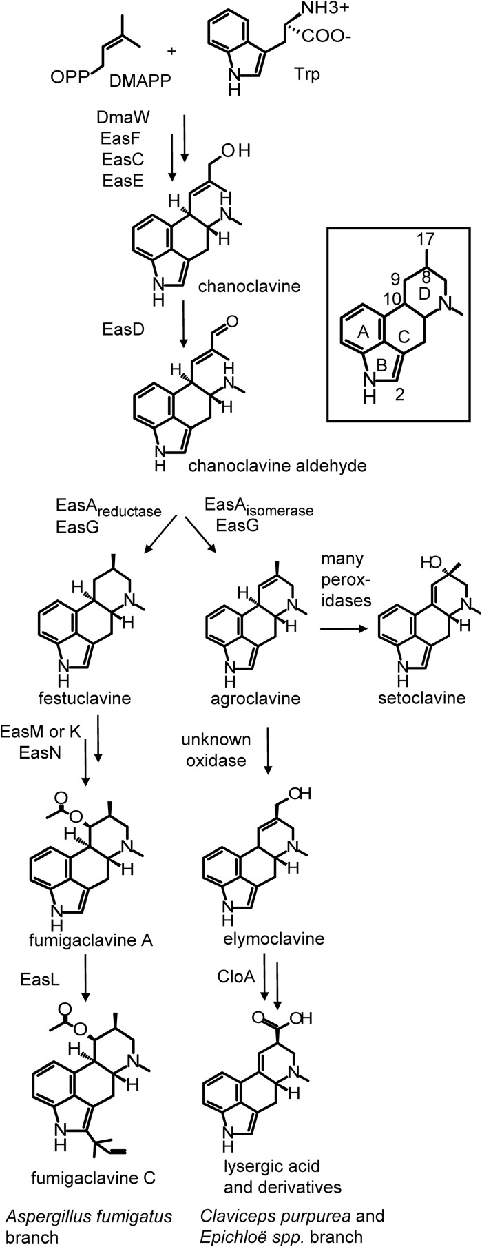 FIG 1