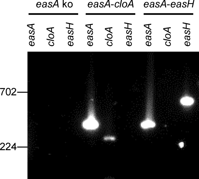 FIG 3