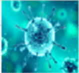 graphic file with name fx5_lrg.gif