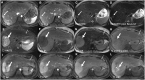 Figure 10.