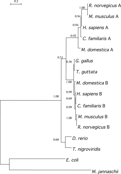 FIGURE 6.