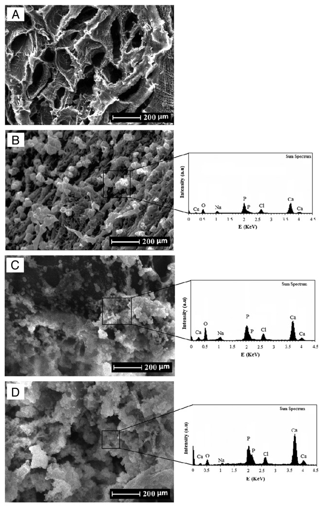 Figure 6.