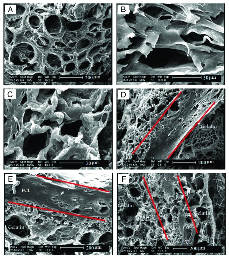 Figure 5.