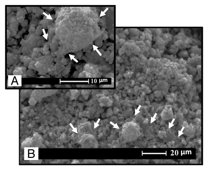 Figure 7.