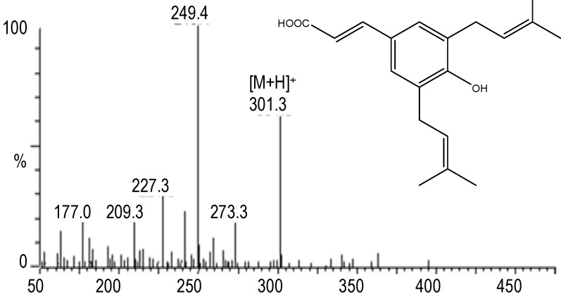 Figure 6