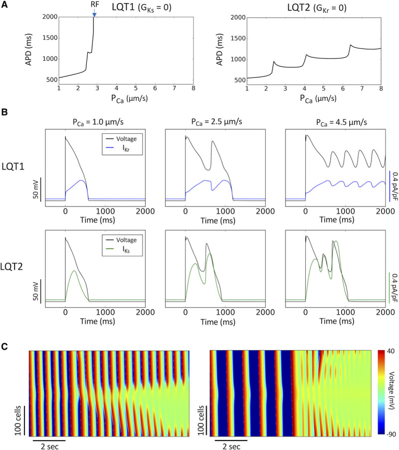 Figure 6.