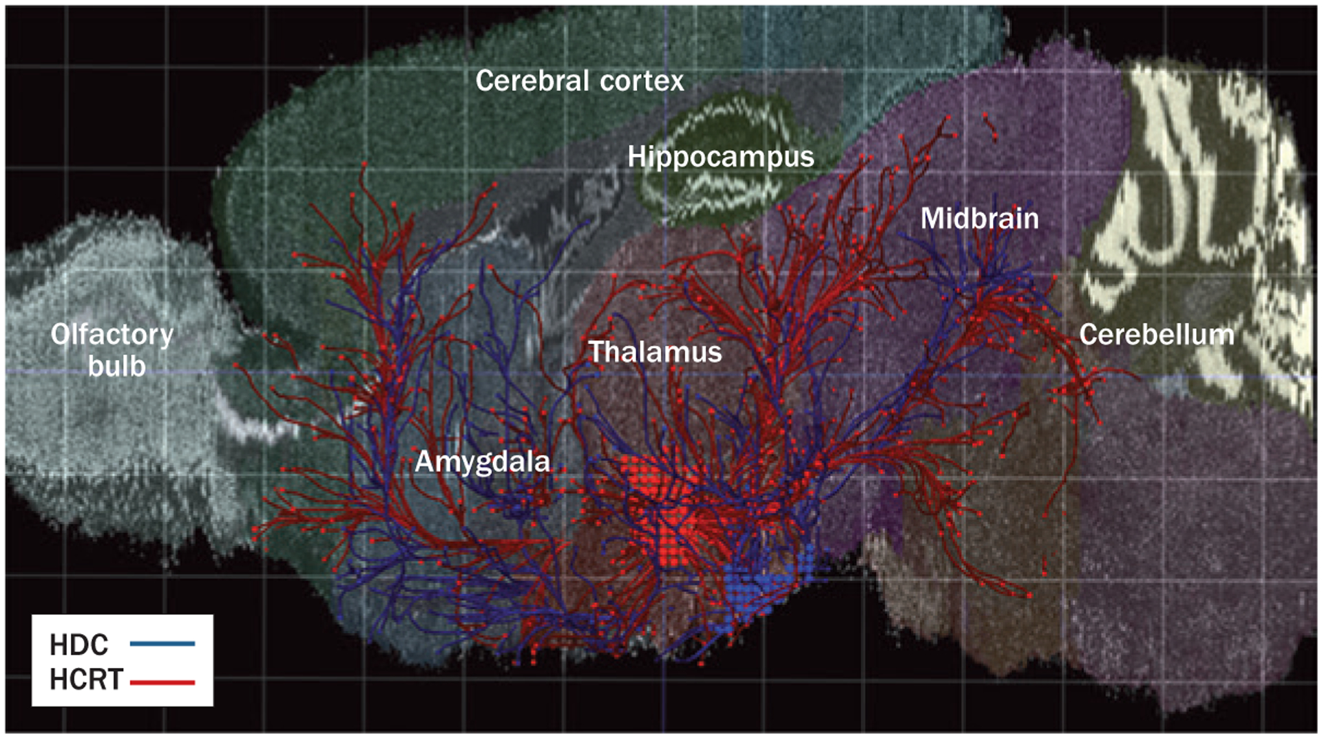 Figure 2 |