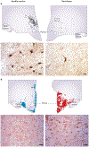Figure 3 |