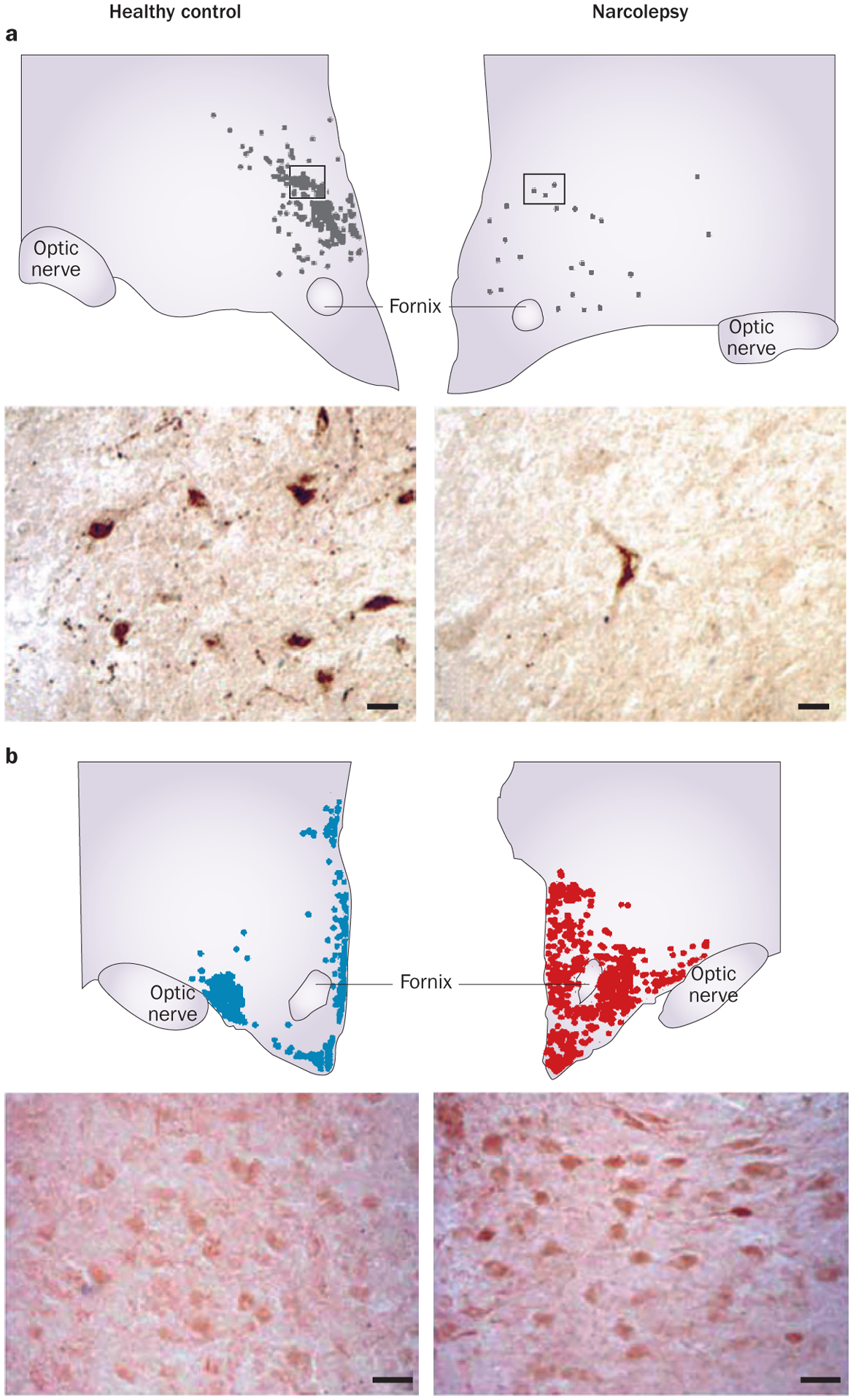 Figure 3 |