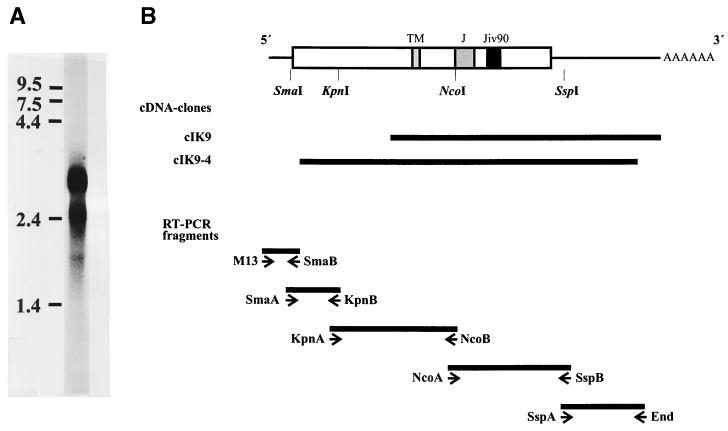 FIG. 1