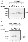 FIG. 7