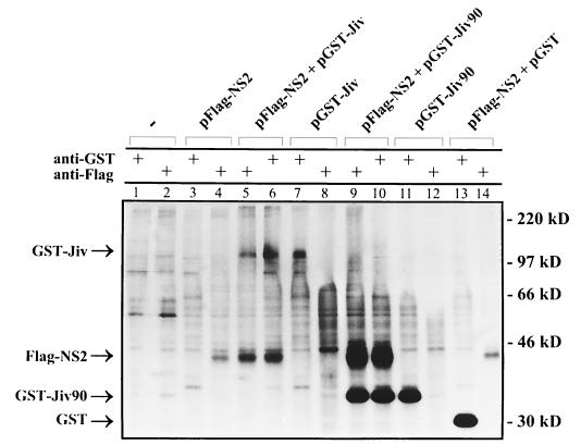 FIG. 5