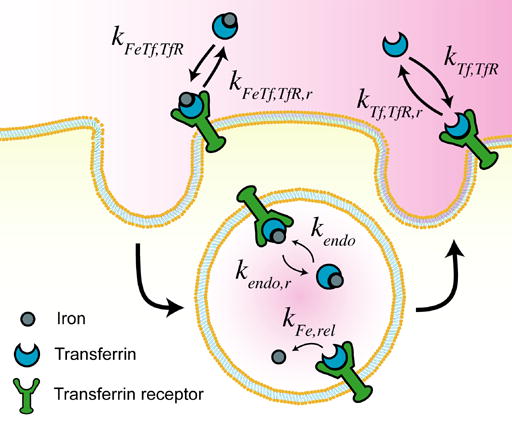 Fig. 2