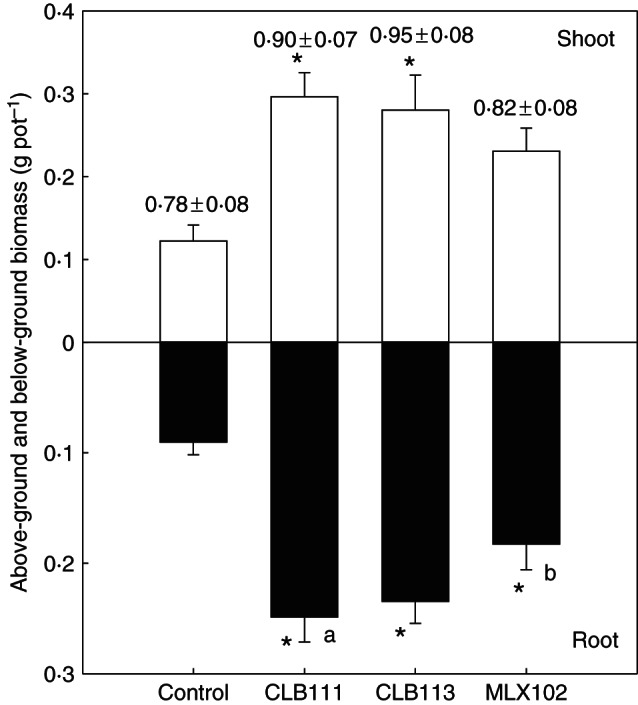 Fig. 3.