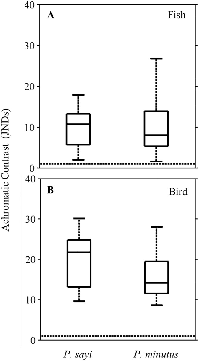 Fig 10