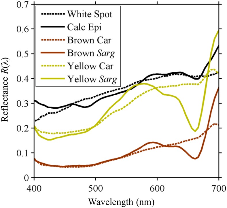 Fig 4