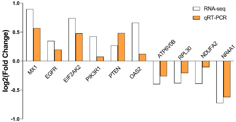 Figure 11