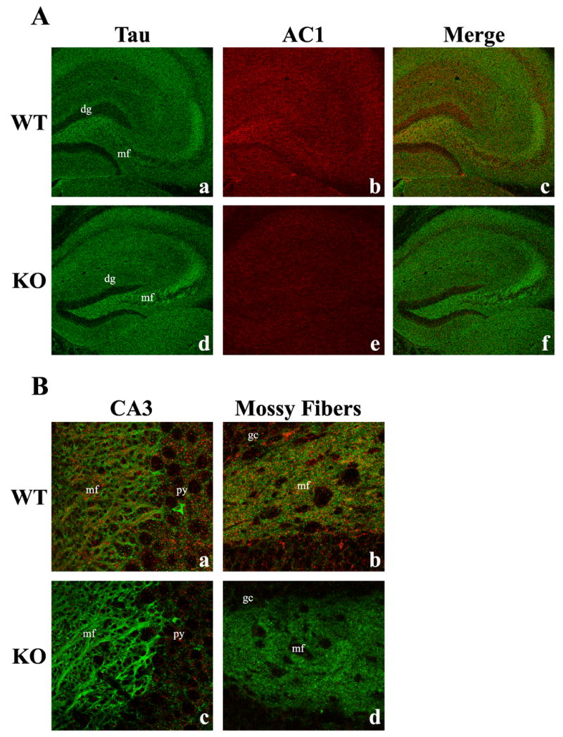 Fig. 11