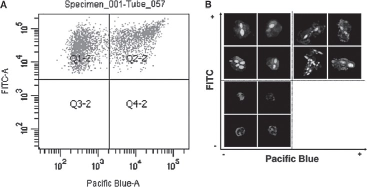 Fig. 2