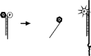 Figure 10.8