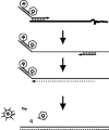 Figure 10.5