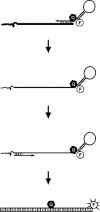 Figure 10.15