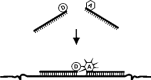 Figure 10.7