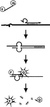 Figure 10.6