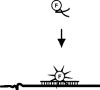 Figure 10.11
