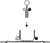 Figure 10.14