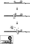 Figure 10.4