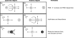 Figure 10.2