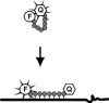 Figure 10.12