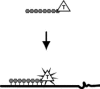 Figure 10.10