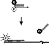 Figure 10.9