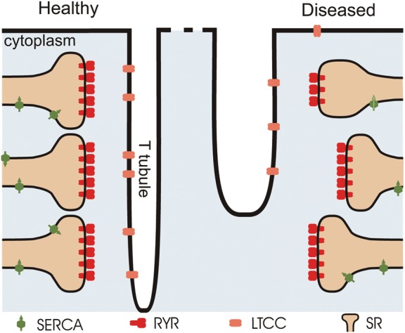 Figure 1