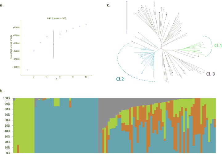 Fig 2