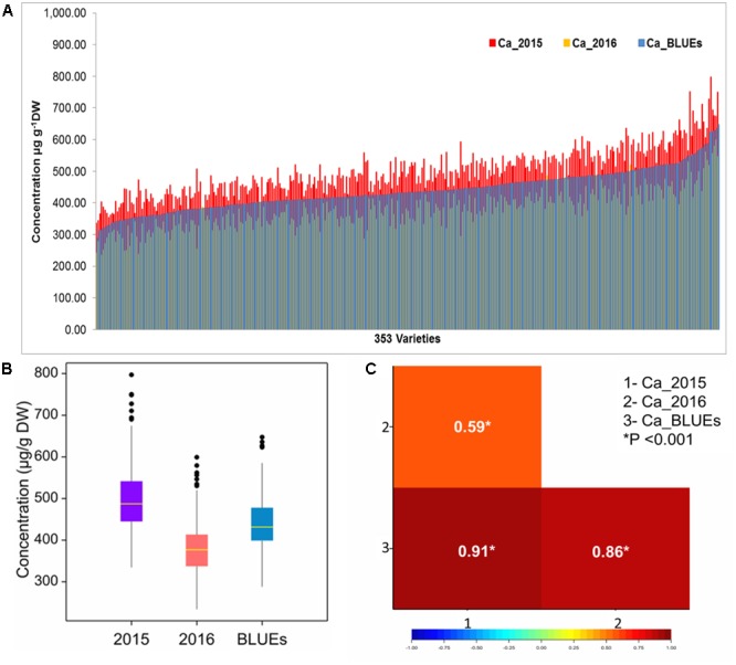 FIGURE 1