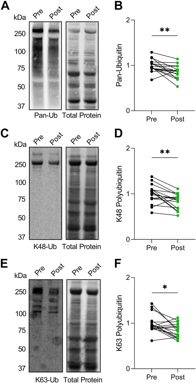 Figure 5