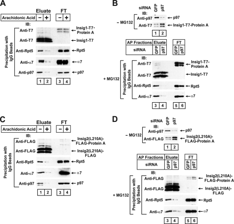 FIGURE 7.