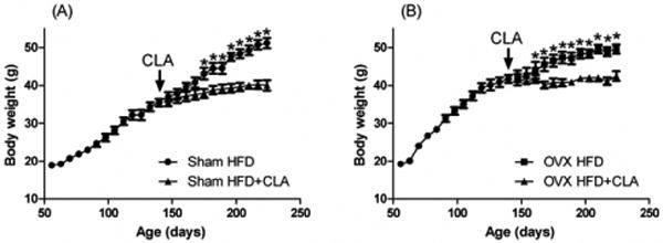 Fig.2