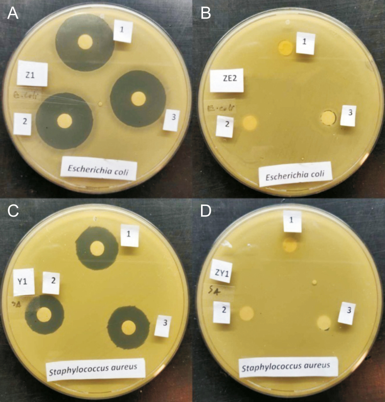 Fig. 11